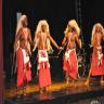  Soiree_Concert_Danses_2010 
